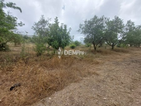 Agricultural Land For Sale in Armou, Paphos - DP3482 - 4