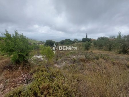 Agricultural Land For Sale in Armou, Paphos - DP3482 - 3