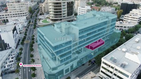 Duplex Office Unit in Makariou Avenue Nicosia City Center - 6