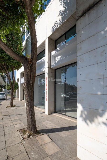 Mixed use building in Agioi Omologites Nicosia - 4