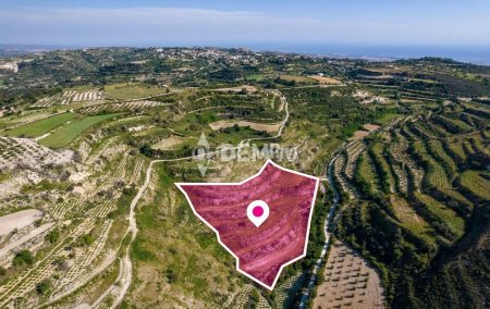 Agricultural Land For Sale in Tsada, Paphos - DP3256 - 1
