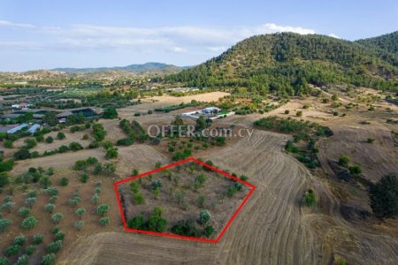 Residential field in Klirou Nicosia - 1