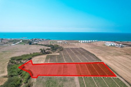 Field for Sale in Softades, Larnaca