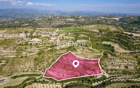 Agricultural Land For Sale in Tsada, Paphos - DP3256 - 5