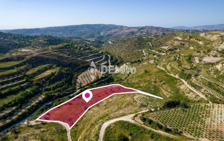Agricultural Land For Sale in Tsada, Paphos - DP3256 - 4