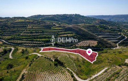 Agricultural Land For Sale in Tsada, Paphos - DP3256 - 3
