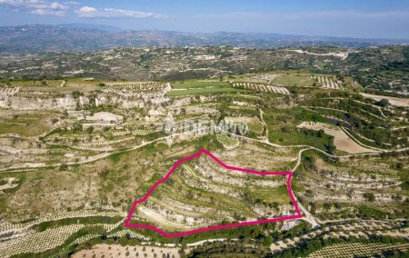 Agricultural Land For Sale in Tsada, Paphos - DP3256 - 2