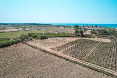 Field for Sale in Softades, Larnaca - 6