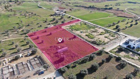 Share of Field in Tseri Nicosia