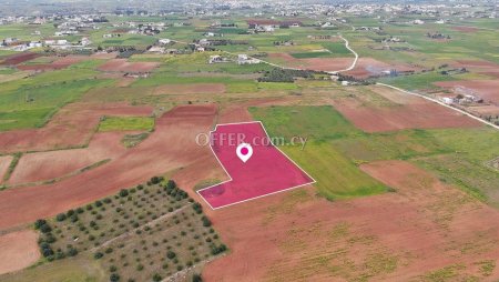 Field in Agioi Trimithias Nicosia
