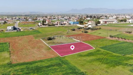 Field in Palaiometocho Nicosia