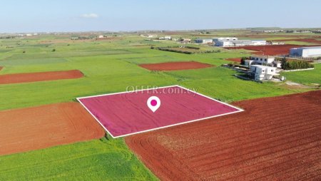 Residential field in Agioi Trimithias Nicosia