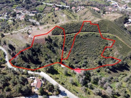 Two adjacent residential fields in Sinaoros Nicosia