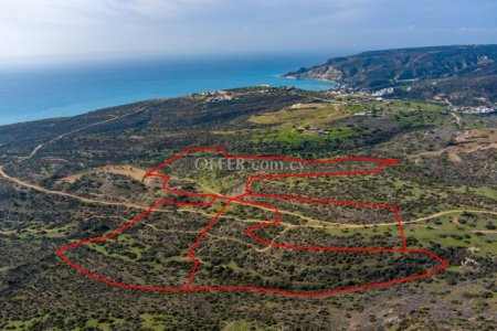 Tourist fields in Pissouri Limassol