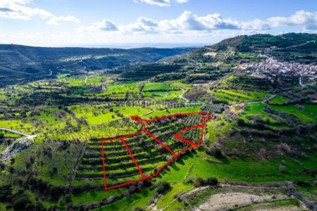 Residential fields in Dora Limassol