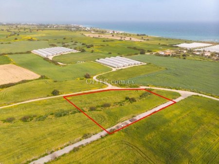 Tourist field in Maroni Larnaca