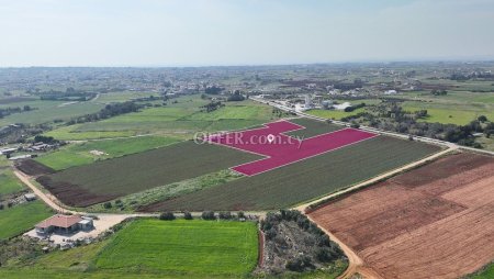 Field in Xylofagou Larnaca
