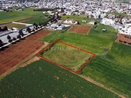 Residential field in Frenaros Famagusta