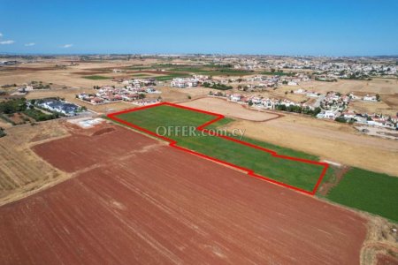 Shared field in Liopetri Famagusta