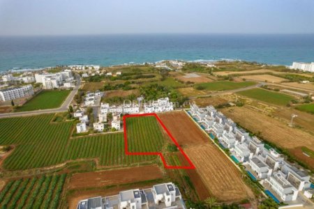 Shared tourist field in Paralimni Famagusta - 1