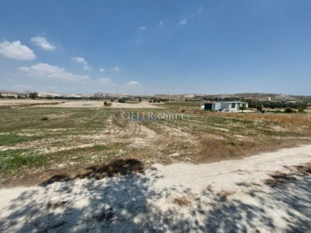 Field in Aradippou - 5