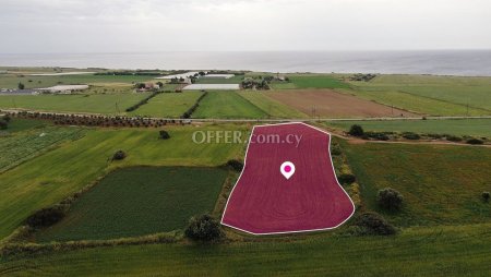 Field in Alaminos Larnaca - 4