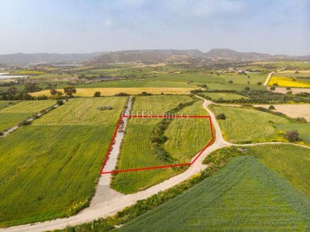 Touristic field in Maroni Larnaca - 4
