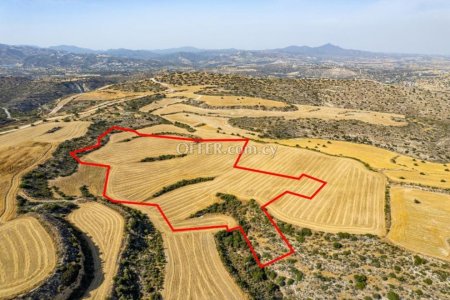 Shared field in Choirokoitia Larnaca - 3