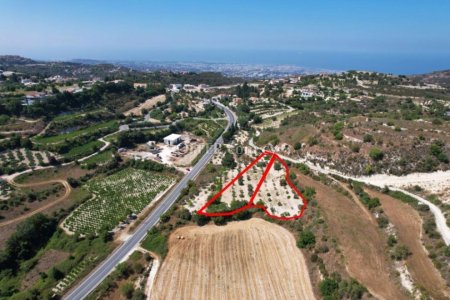 Two residential fields in Tsada Paphos - 3