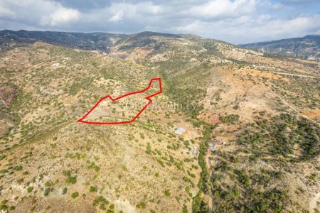 Agricultural field in Pegeia Paphos - 3