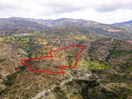 Agricultural field in Pegeia Paphos - 3