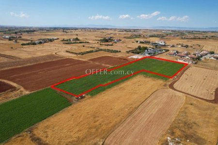 Shared field in Liopetri Famagusta - 4