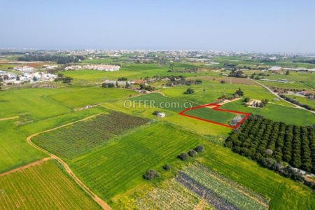Residential field in Frenaros Famagusta - 4