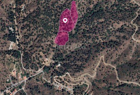 Three adjacent agricultural Fields in Kakopetria Nicosia - 3