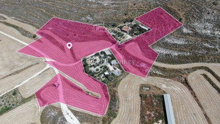 Field in Aradippou Larnaca - 3