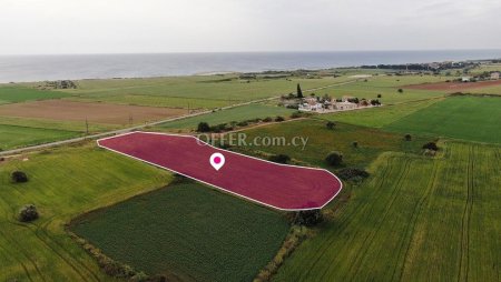 Field in Alaminos Larnaca - 3