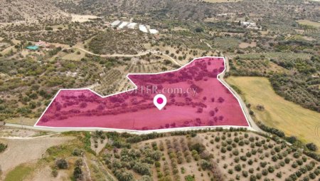 Field in Agios Theodoros Larnaca - 3