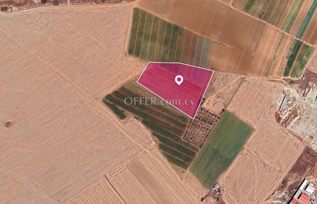 Field in Tersefanou Larnaca - 3