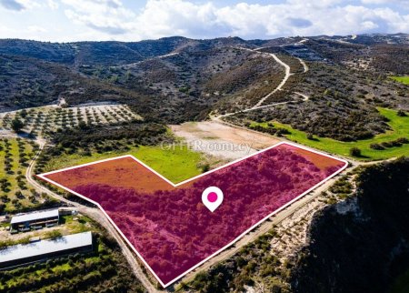Two agricultural fields Skarinou Larnaca - 5