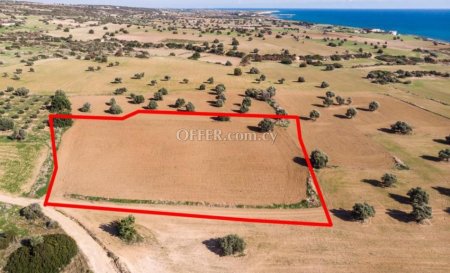 Touristic field in Agios Theodoros Larnaca - 2