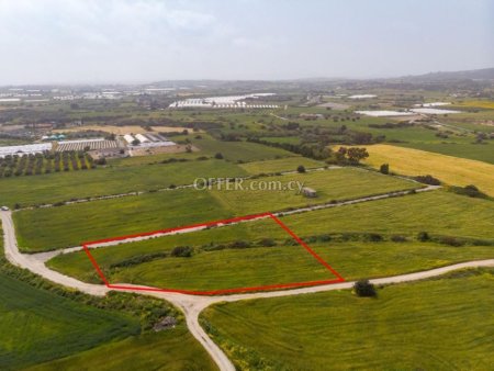 Touristic field in Maroni Larnaca - 3