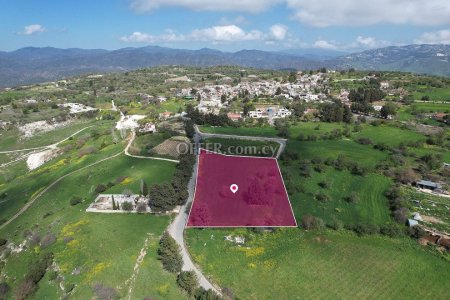 Residential field in Fyti Paphos - 3