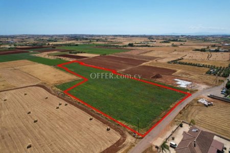 Shared field in Liopetri Famagusta - 3
