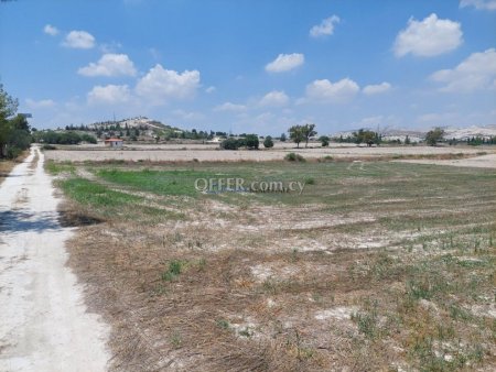 Field in Aradippou - 3
