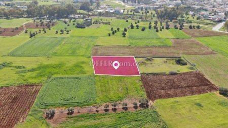 Field in Palaiometocho Nicosia - 3