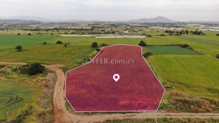 Field in Alaminos Larnaca - 2