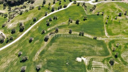 Residential field Agios Theodoros Larnaca - 3