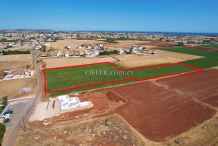 Shared field in Liopetri Famagusta - 2