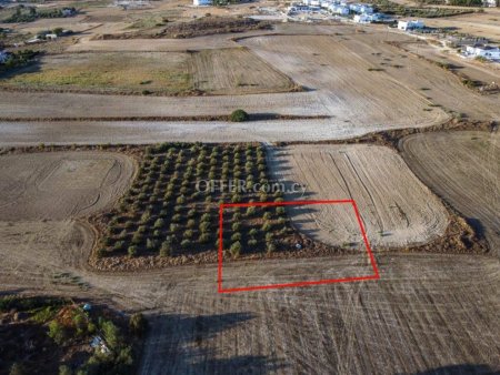 Eleven shared residential fields in Geri Nicosia - 7