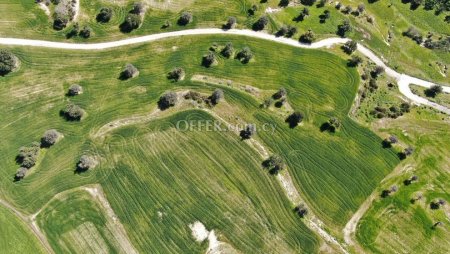 Residential field Agios Theodoros Larnaca - 2